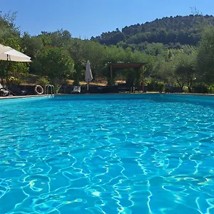  Alloggio per agriturismo Agriturismo Poggio All'olmo